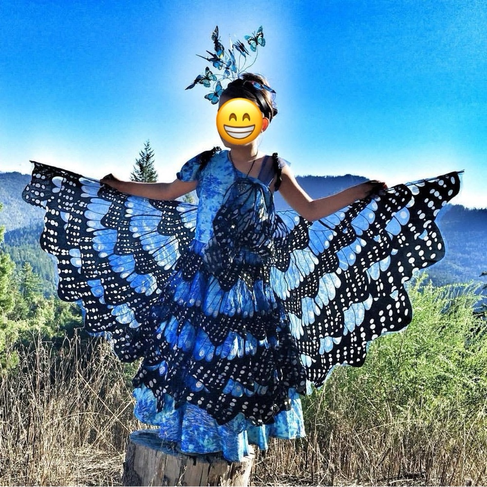 Wishcraft Butterfly Costume Dress